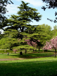 villa borghese_7